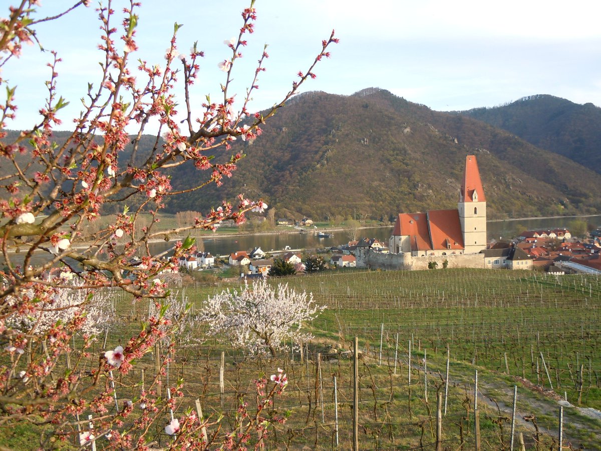 tecfinder's tweet photo. In den #Frühling mit einem neuen #Fahrrad starten? Läuft. Bei diesem #Bike-#Sale kannst du bis zu 85 % sparen: https://t.co/iHCOGag0DY
Zudem findest du auf dieser Seite #Rad-#Gutscheine.
#WSV #tech #Deal #MTB #Ebike #Bikes #Trekking #Fahrräder #Triathlon #Cross #Crossrad #Fitness https://t.co/0c7fiLrG2O