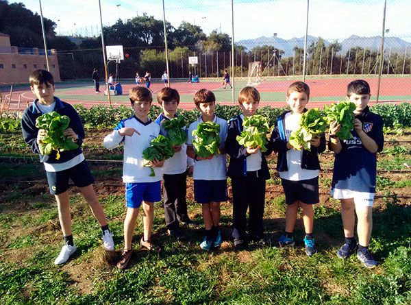 Colegio ECOS tweet media