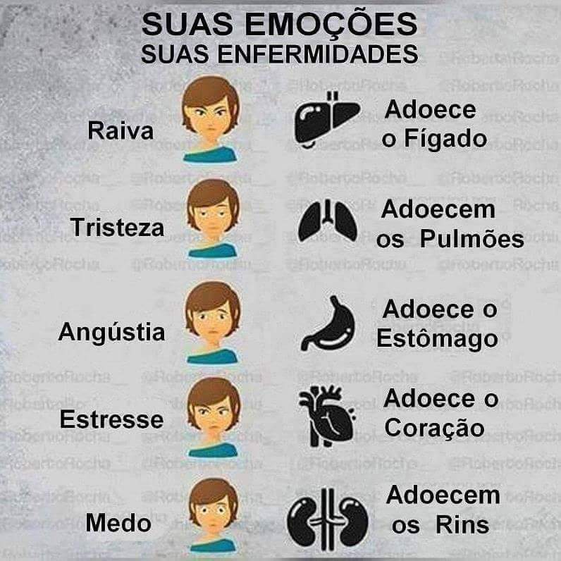 sueli #TimBeta (@suelyim) on Twitter photo 