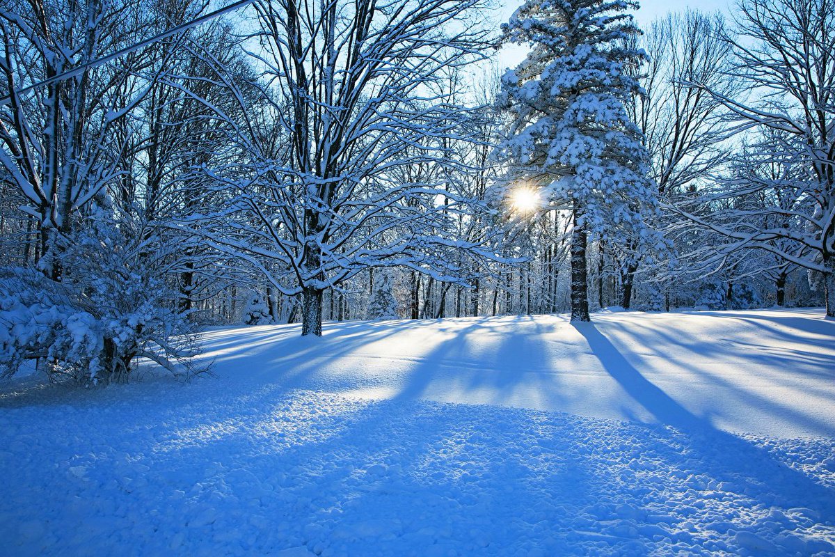 Картинка зимний период. Зима снег. Красивая зима. Зимний лес. Зимний пейзаж.