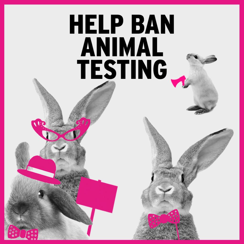 ban animal testing Ban animal testing in the uk and also importing products which have been tested on animals animal testing has also sometimes been used for developing:. ban animal testing Ban animal testing in the uk and also importing products which have been tested on animals animal testing has also sometimes been used for developing:.