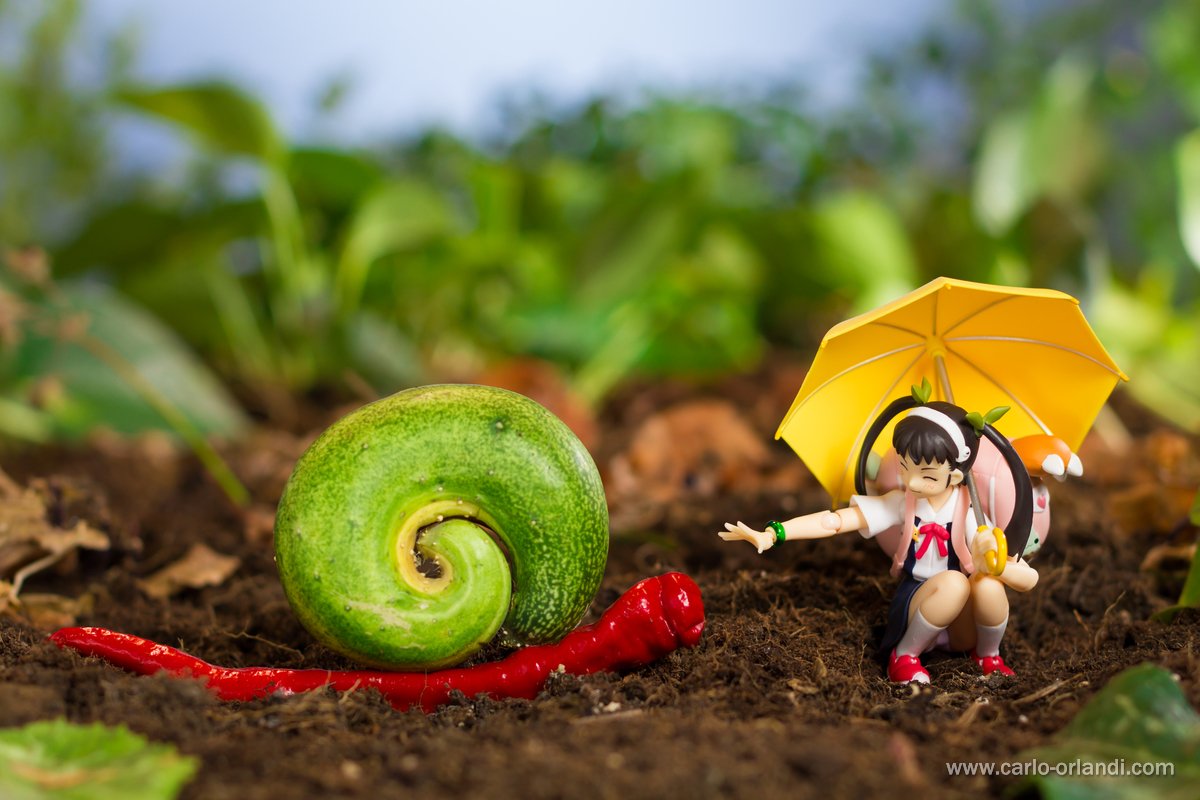 playerdue's tweet photo. "Snail Meet Up"
#figmaphotocon10 #figma #actionfigures #bakemonotagari #snails #mayoihachikuji #lostcow #lostsnail https://t.co/Zrtot5c9zL