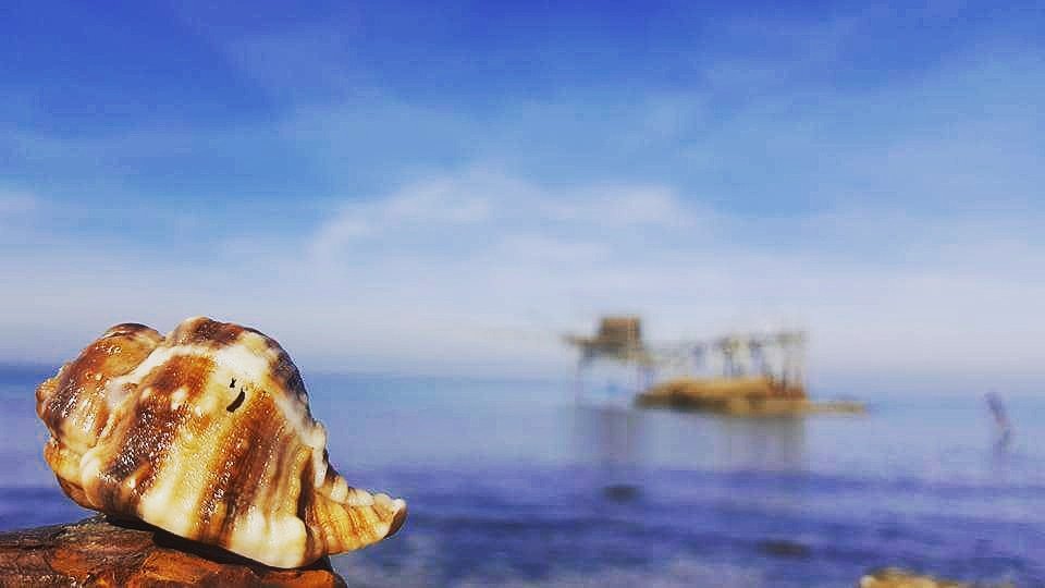 Valentina_Verna's tweet photo. Le radici sono importanti, nella vita di un uomo, ma noi uomini abbiamo le gambe, non le radici, e le gambe sono fatte per andare altrove.
Arrivederci a presto Vasto❤️
#BEAUTIFUL #city https://t.co/jTmXQxeonA