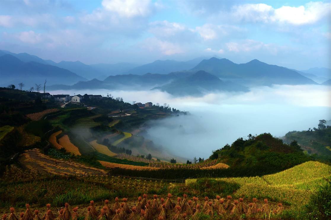 UltraNinghai's tweet photo. The peaks here are covered by virgin forests. In the forests, the trees and vines grow massively but in a certain order to show us the beauty of nature's wildness and harmony. #UTNH #salomonrunning #suunto #trailrunning #runforever #nature #forest #utwt #ultratrail #wildandfree https://t.co/8uzSLo4e2a
