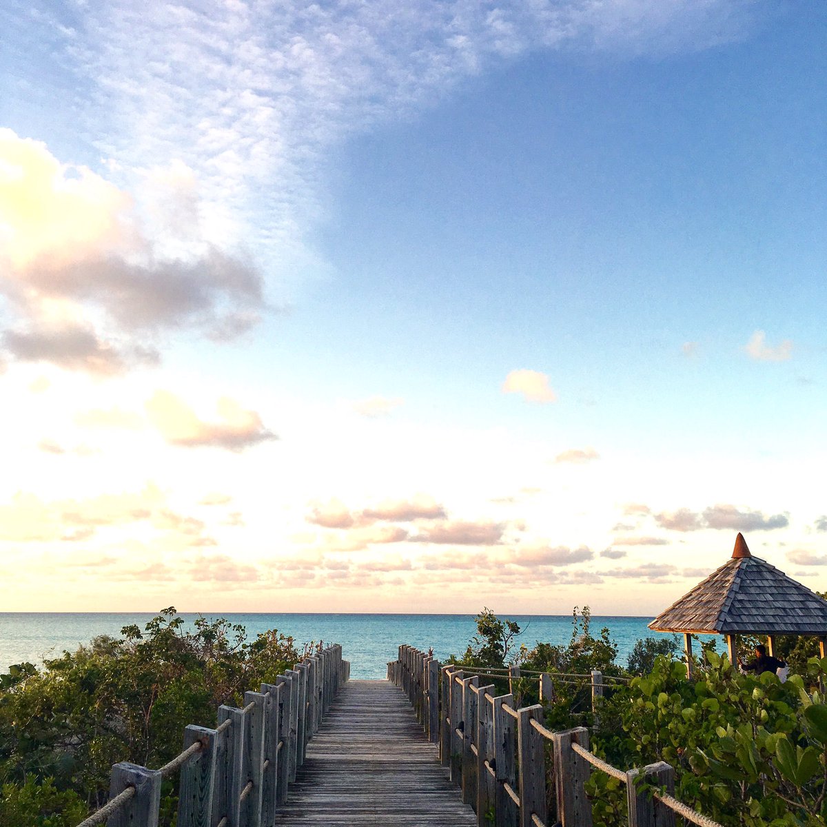 Julie Palo Hayes tweet media