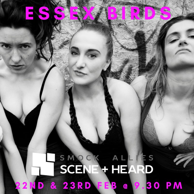 Essex Birds tweet media