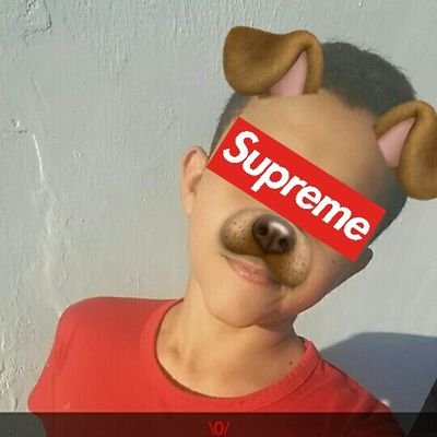 Es Que O Jornal Virou Dog Maul😁 <a href="/JORNALMCPEofc/">JornalMcpe</a> Brinks Irmão👦 kkk kkk.❤️👌😁🍃