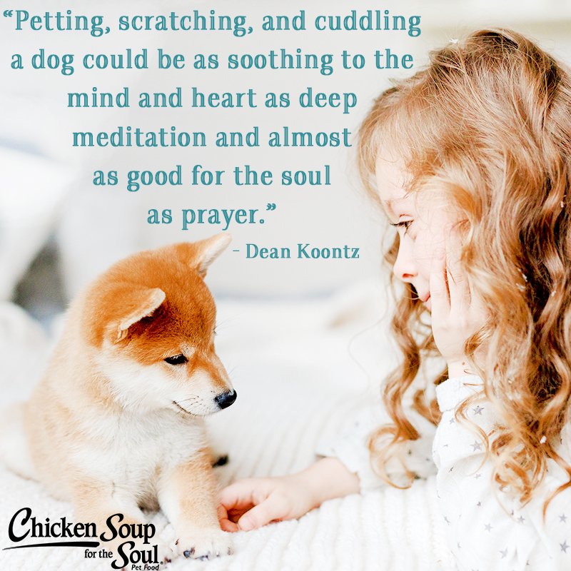 ChickenSoupPets's tweet photo. "Petting, scratching, and cuddling a dog could be as soothing to the mind and heart as deep meditation and almost as good for the soul as prayer." - Dean Koontz #ChickenSoupPets https://t.co/8CNt6lUDsv
