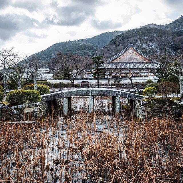 JonxPill's tweet photo. And another little bridge - Kyoto, Japan #littlebridge #bridge #travel #kyoto #japan #instagramjapan #jtjapan2018 https://t.co/yc8uGkji0l https://t.co/tlZX6h1KLJ