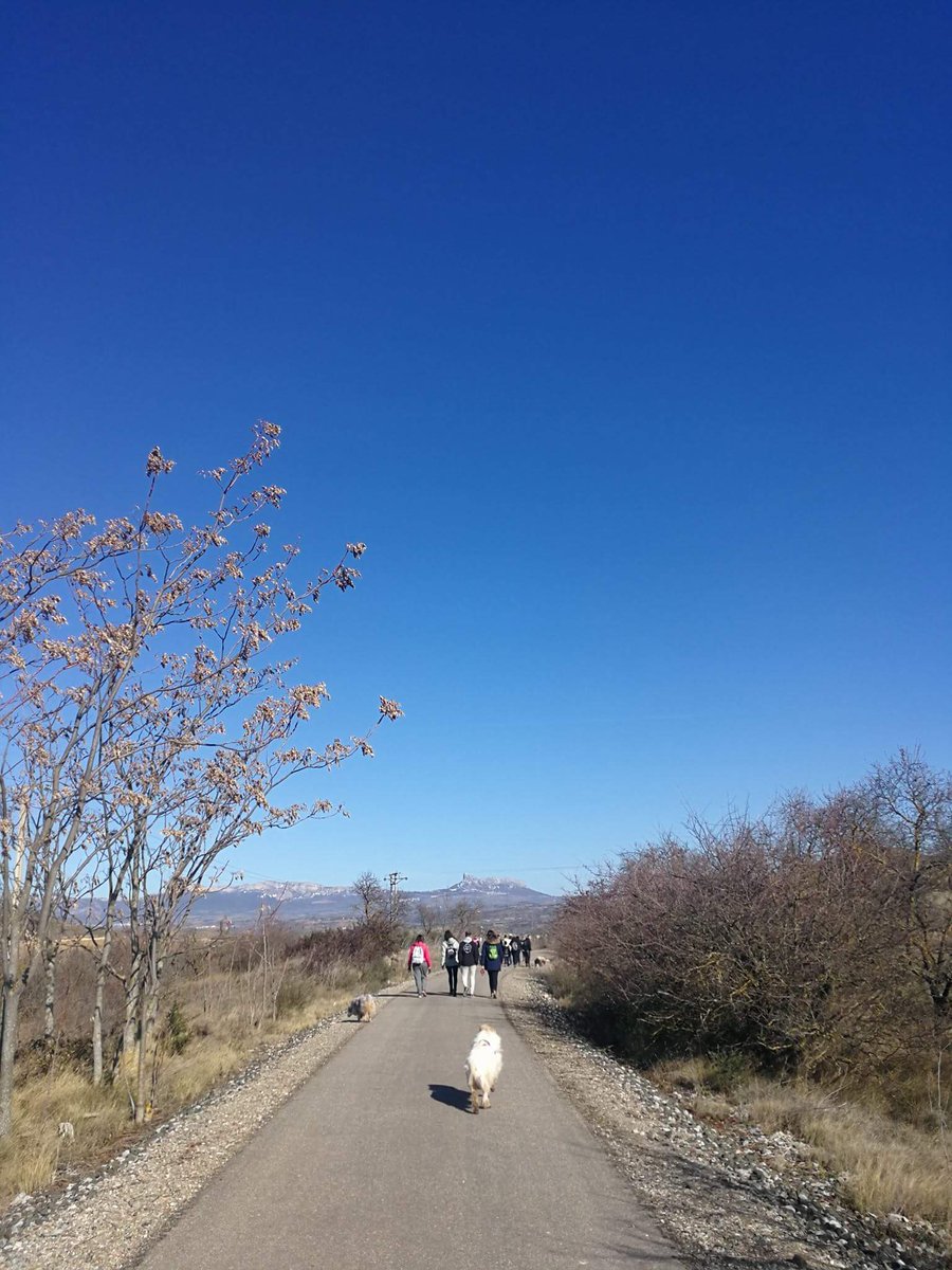 Clubvidaperra's tweet photo. Paseos vida perra! Paseo mensual del club! Hoy 16 perros se han juntado #sinfiltros #muchobarro #suky #pepo #kala #oscar #paca #argi #beltza #izal #nala #trufa #fantasma #mia #rubi #tirma #noel #boby #solorioja #pampanoeventos #dejandohuella #felicidadcanina #vidaperra https://t.co/kyQPopoqWP