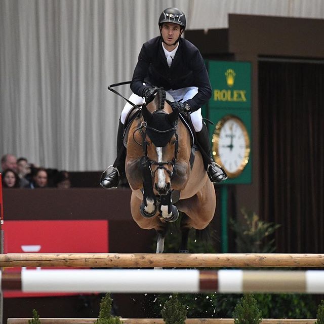 steveguerdat's tweet photo. Our princess 👸 Bianca XXXIV has been awarded as "Horse of the year 2017" with 7 clear rounds in Nations Cup. 💪 So proud to be able to ride so many good horses. I want to thanks all of my owners for their trust all over the years. #SteveGuerdat #ShowJ… https://t.co/krRhRH6k58 https://t.co/bI3xOoZ3LP