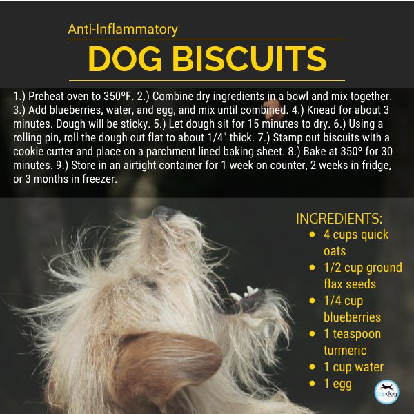 TopDogHealth's tweet image. #Natural #Recipes for #Arthritic #Dogs Day #3:
Anti-inflammatory Dog Biscuits
bit.ly/tdcook1