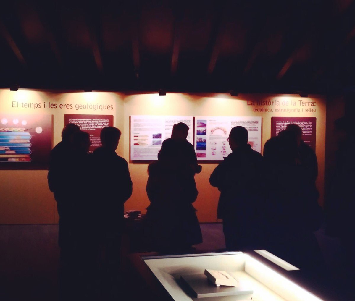 Aiida_Sanchez's tweet image. Retrocedim 240 milions d&apos;anys, on tot era diferent i on els dinosaures encara no existien...Benvinguts al #triasic! #museuAlcover #Alcover #historia #magradalamevafeina