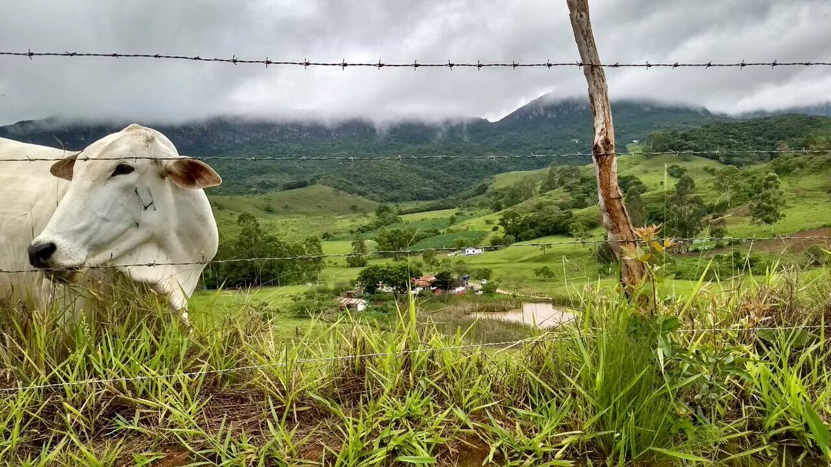 Emporium_CDS's tweet photo. Bora curtir um verde?#caminhosdaserra #vempravaranda https://t.co/JrNmFERTAX