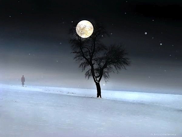 зимний ночной пейзаж. зима ночь. вьюга ночью. ночь снег луна. лунной ночью свет загадочно падает на сугробы.