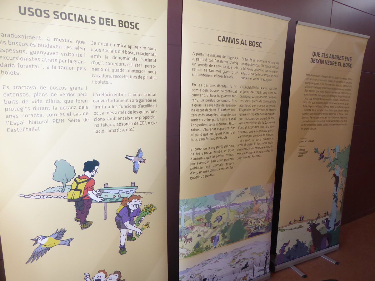 laradacoop's tweet photo. A @castelltallat ja podeu visitar la exposició "Boscos, usos i costums populars al llarg del segle XX", amb les il.lustracions de #lauradecastellet https://t.co/i7j5tesTgi
