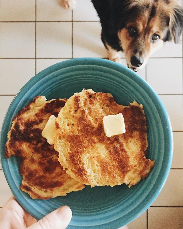 TrainProSteph's tweet image. I’m always shocked when people are pumped about the microwaved eggs that are called #90secondbread. •
So, when I came across @kaseytrenumblogger’s idea of toasting it, I actually wanted to try it. And the end result was buttery, toasty, and damn tast… ift.tt/2niJ2P2