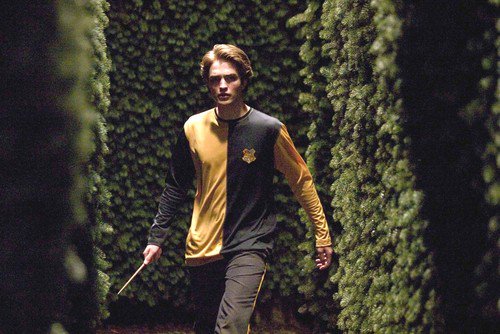 Cedric Diggory (@chosenbygoblet) on Twitter photo 