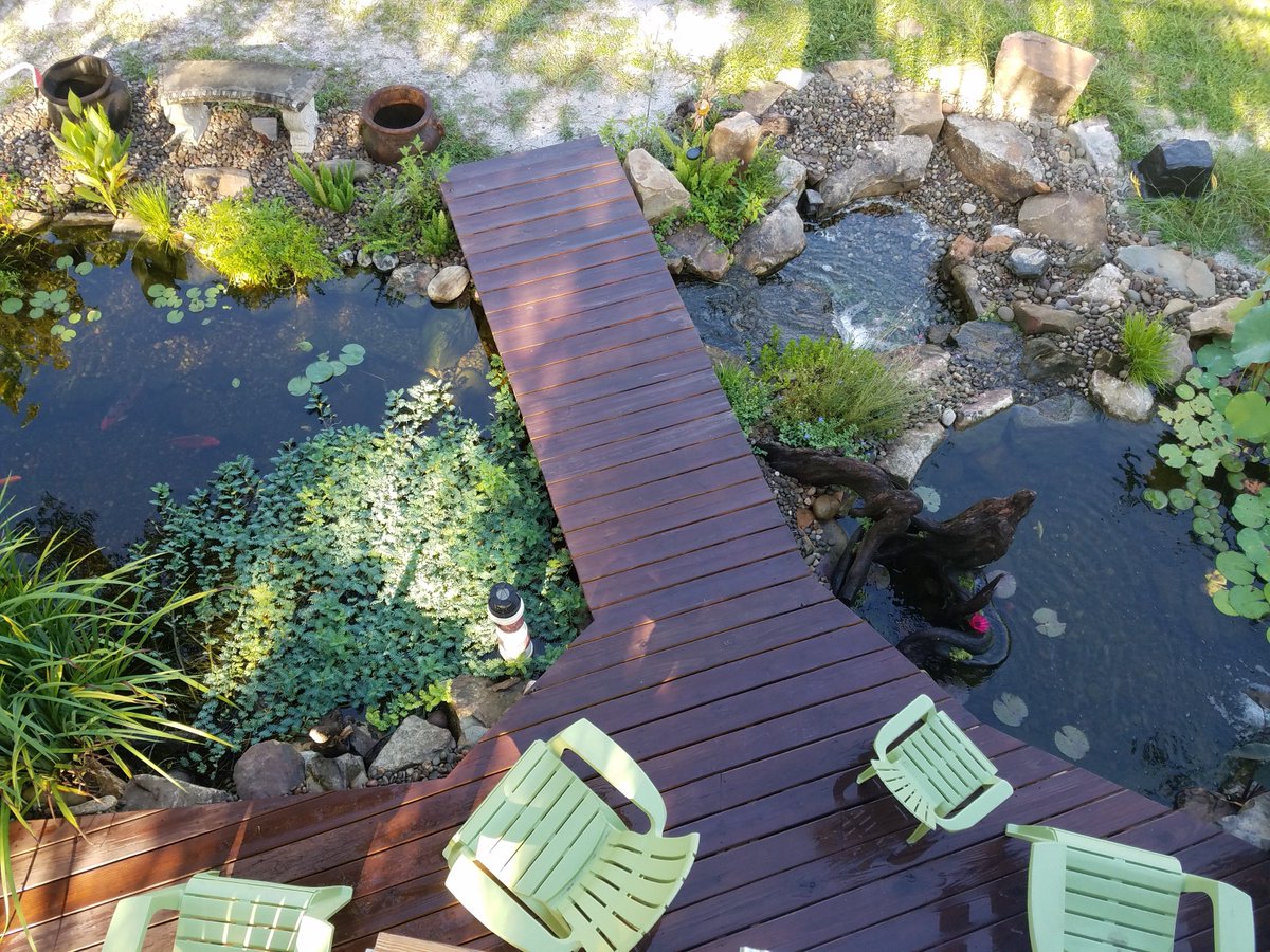 View of one of the ponds at Tropical Water Gardens from the upper deck