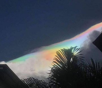 Voir l'image sur Twitter