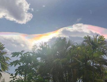 Voir l'image sur Twitter