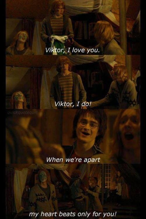 " Hey <a href="/StrongBulgarian/">Viktor Krum</a>, our brother Ronnie likes you."