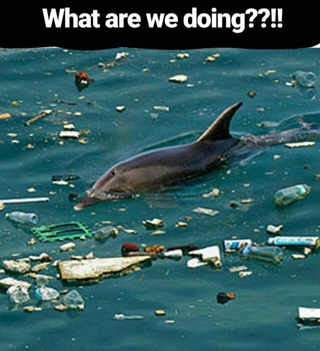 mightyCBU's tweet image. #BanSingleUsePlastic #RefuseReduceReuse #SaveOurOceans