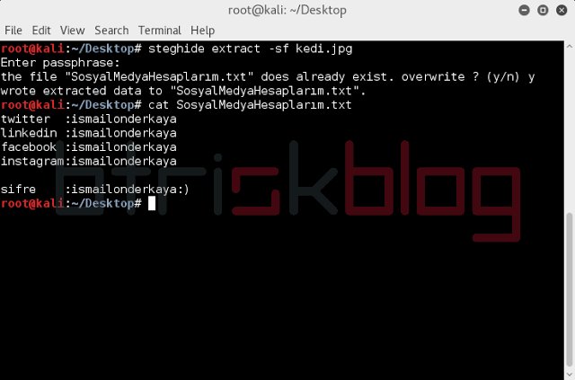 Steganografi Sanatı 
blog.btrisk.com/2018/01/stegan…