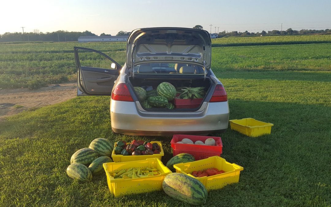 PSU Student Farm tweet media