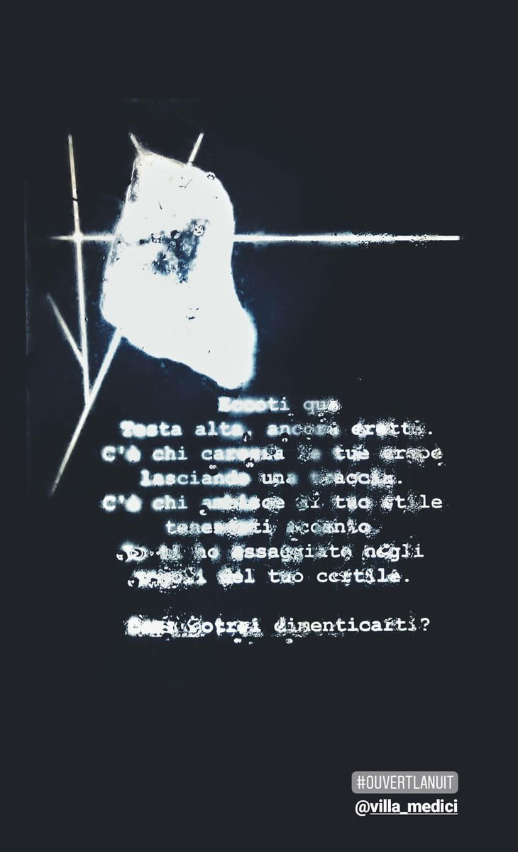 FOLLOWTHEBOOKS_'s tweet photo. Tra nebbia, luci e versi, la notte è magica a @VillaMedicis con #OuvertLaNuit ✨💙✨

#Roma #scopriroma #saichearoma #artexhibition #arte #luce
#PoesiainTweet #poesia #versi @CasaLettori #Parole https://t.co/oMsuYpU7Nx
