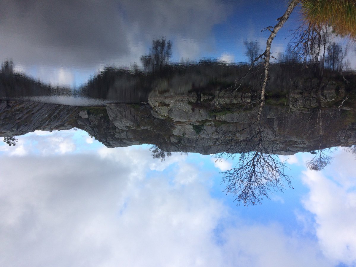 lowrie_gb's tweet photo. @netnarr #dda93 Upside down perspective challenge #netnarr this was taken during my hike at Priekestolen/ Pulpit Rock 🏔️ https://t.co/jNlsjUtI0O