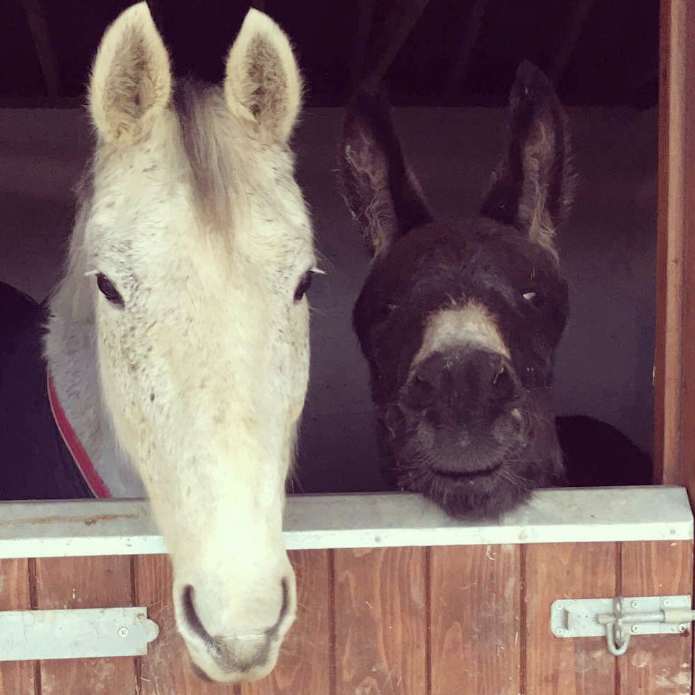 Best Friends! ❤️