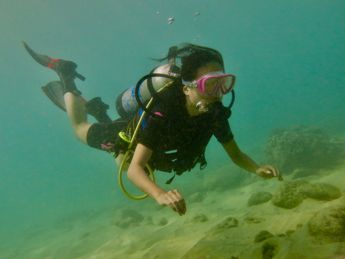 searperfectname's tweet photo. In the tropical  water #scuba #bama513 https://t.co/o3g4amPPK9