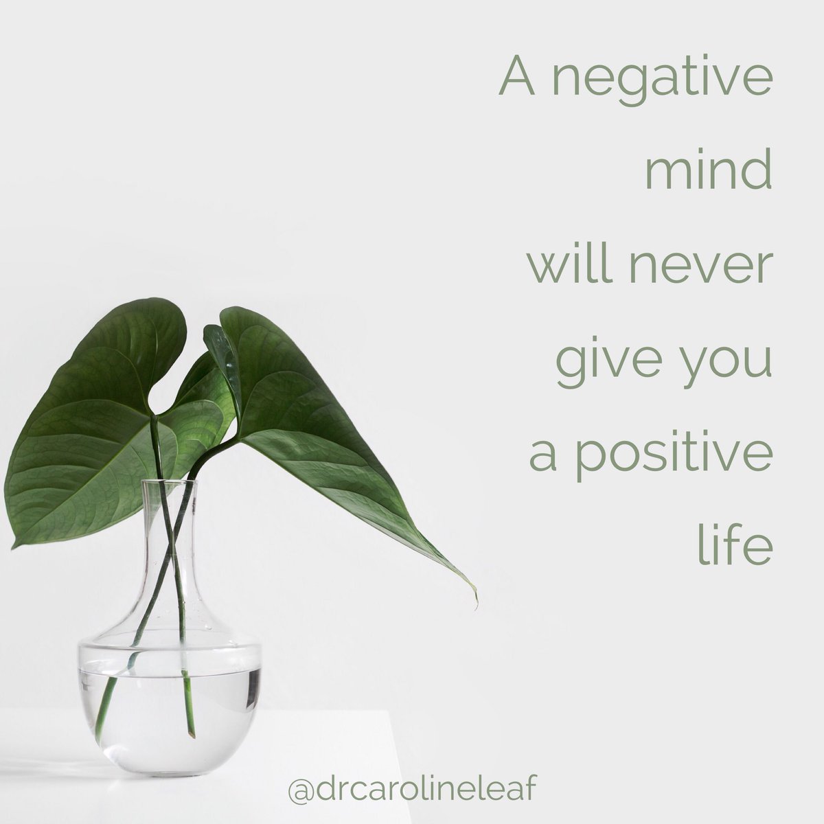 DrCarolineLeaf's tweet image. You cannot control the circumstances but you can control your reaction. Life can be tough and unfair but a negative mindset won’t make anything better. I don’t want negativity in my life anymore so today I choose to be positive and today I choose to control my reactions!