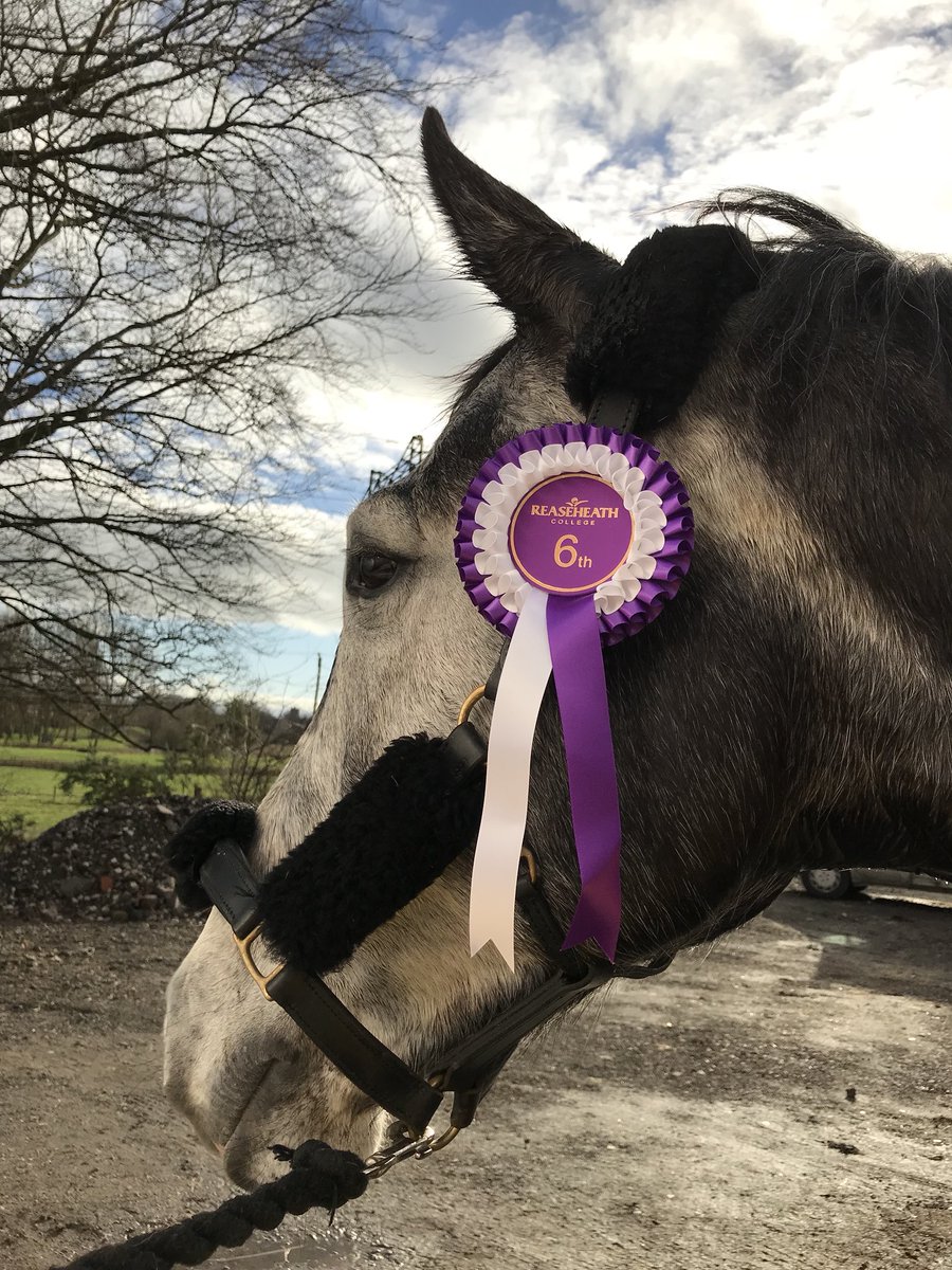 Jack Walker Eventing tweet media