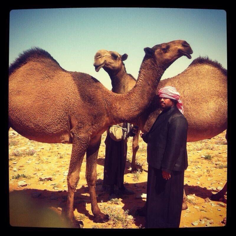 Aa_305_m's tweet photo. #ظلم_قعيد_الشلاحي1 https://t.co/PIk05gbDD2