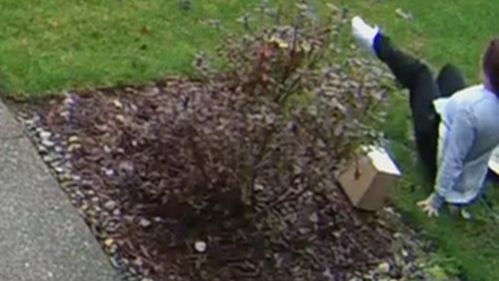 KING5Seattle's tweet image. Video catches package thief's bad fall outside Bothell home kng5.tv/2DGWeEv