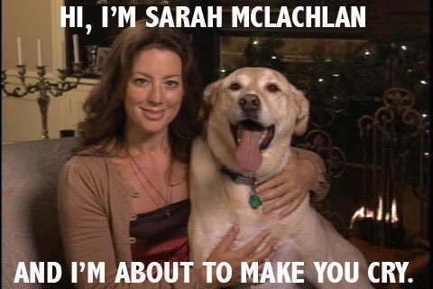 Happy 50th birthday to Sarah McLachlan, the creator of the most depressing content to ever touch humanity. 