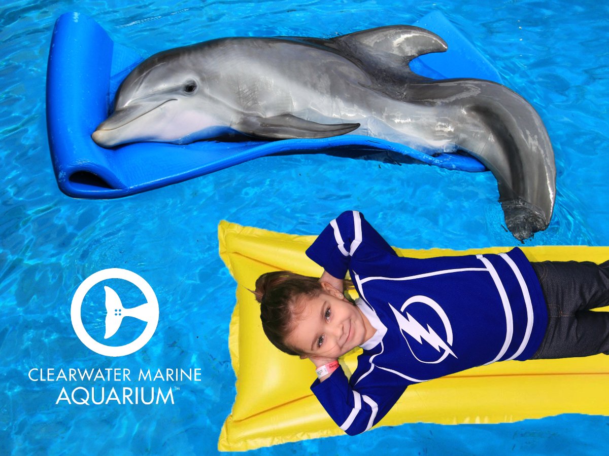 justinlsmithwoo's tweet photo. @TBLightning @CMAquarium @SmithMissi NHL All-Star Weekend at the Clearwater Aquarium! Go Lightning! https://t.co/Y20BUR0lPZ