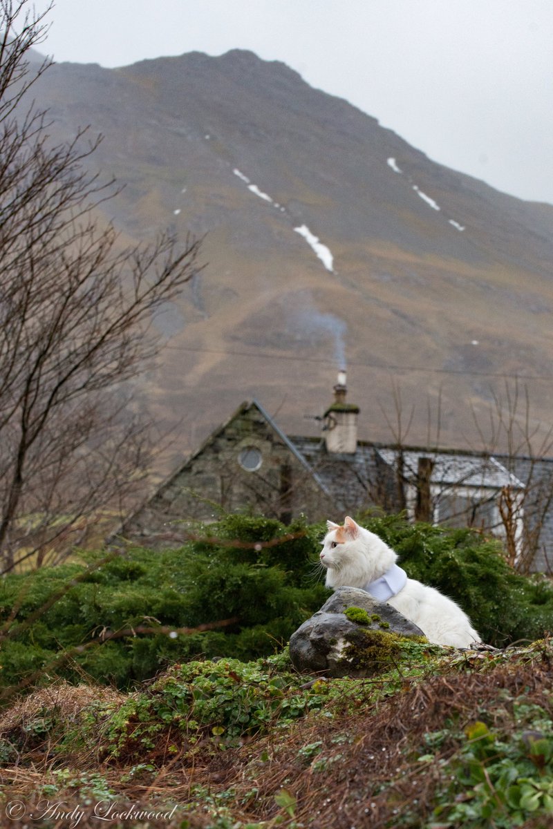 Enjoying my holiday to Isle of Skye 😊 #isleofskye #CatsOfTwitter #AdventureTime