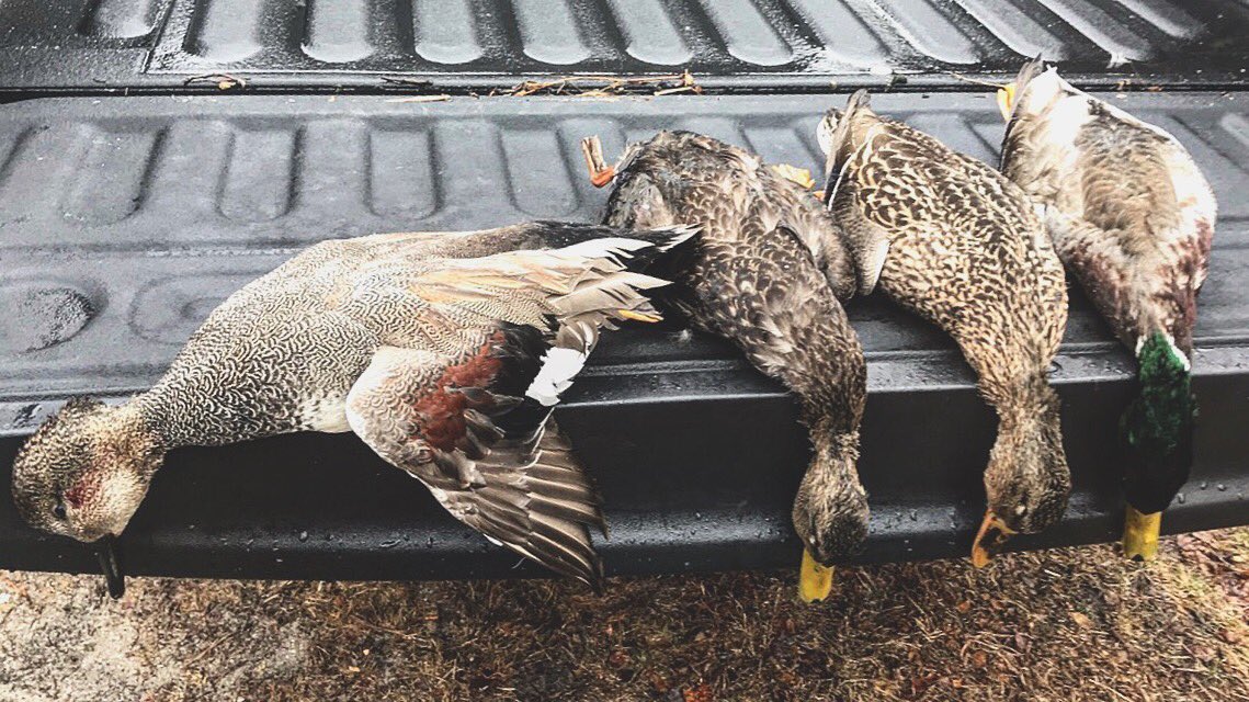 Submission Outdoors (@submsnoutdrs) on Twitter photo 