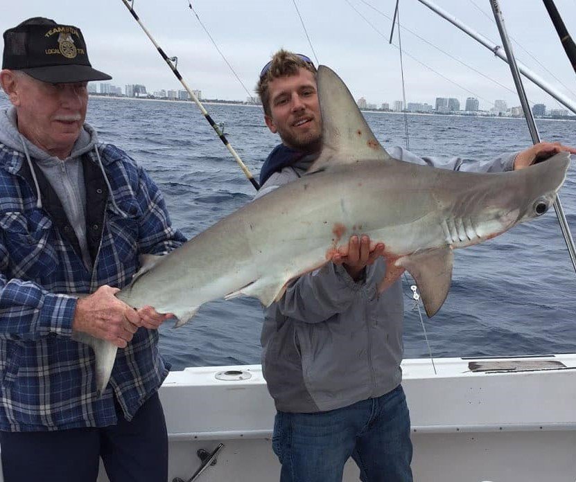 NewLatt Sportfishing tweet media