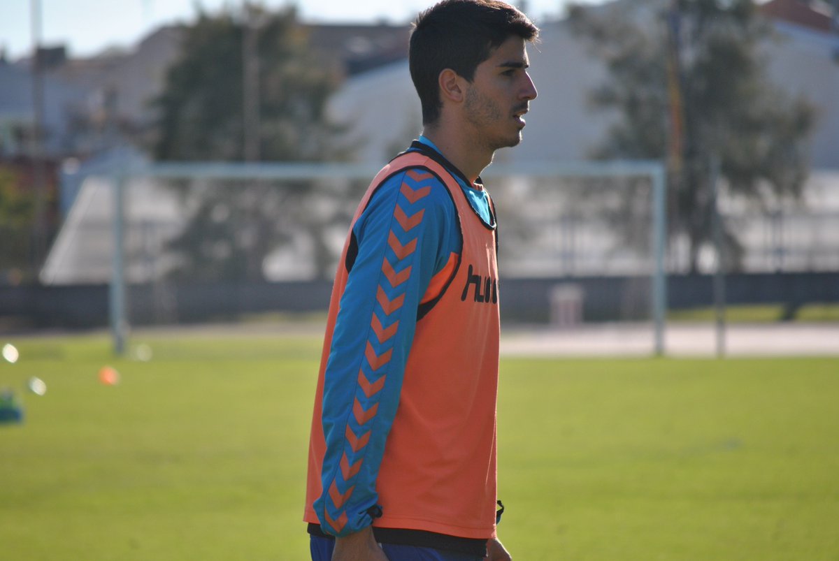 C. F. Gavà tweet media