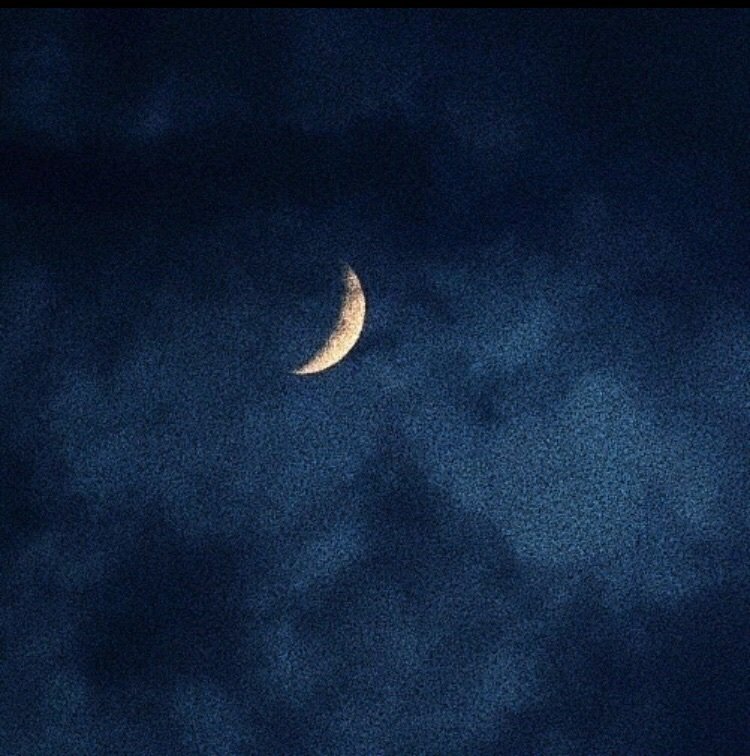 RecusantFigure's tweet image. [SNS]

out.