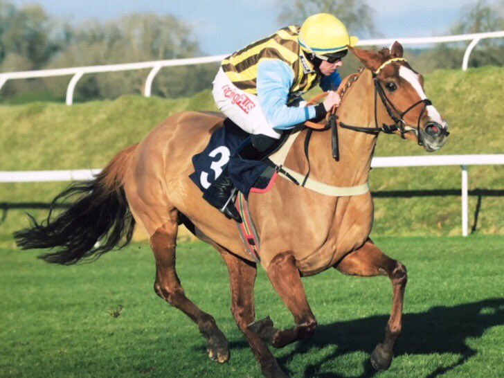 TallyHoWindsor's tweet photo. Time to say goodbye to our tenant @tallyhostables #pasturesnew #farewell store remains open #businessasusual welcome to @Broadwellstud #winners #lovethefillies #thoroughbreds https://t.co/YrIYIdaCWq