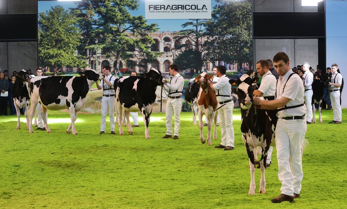 fieragricola's tweet image. In occasione di @fieragricola A.I.A. terrà un convegno per presentare la riorganizzazione delle principali attività che ruotano attorno alle esigenze degli #allevatori italiani. Appuntamento Sala Salieri alle ore 10.30 del 2 febbraio --&amp;gt; goo.gl/QVEqfT #Fieragricola2018