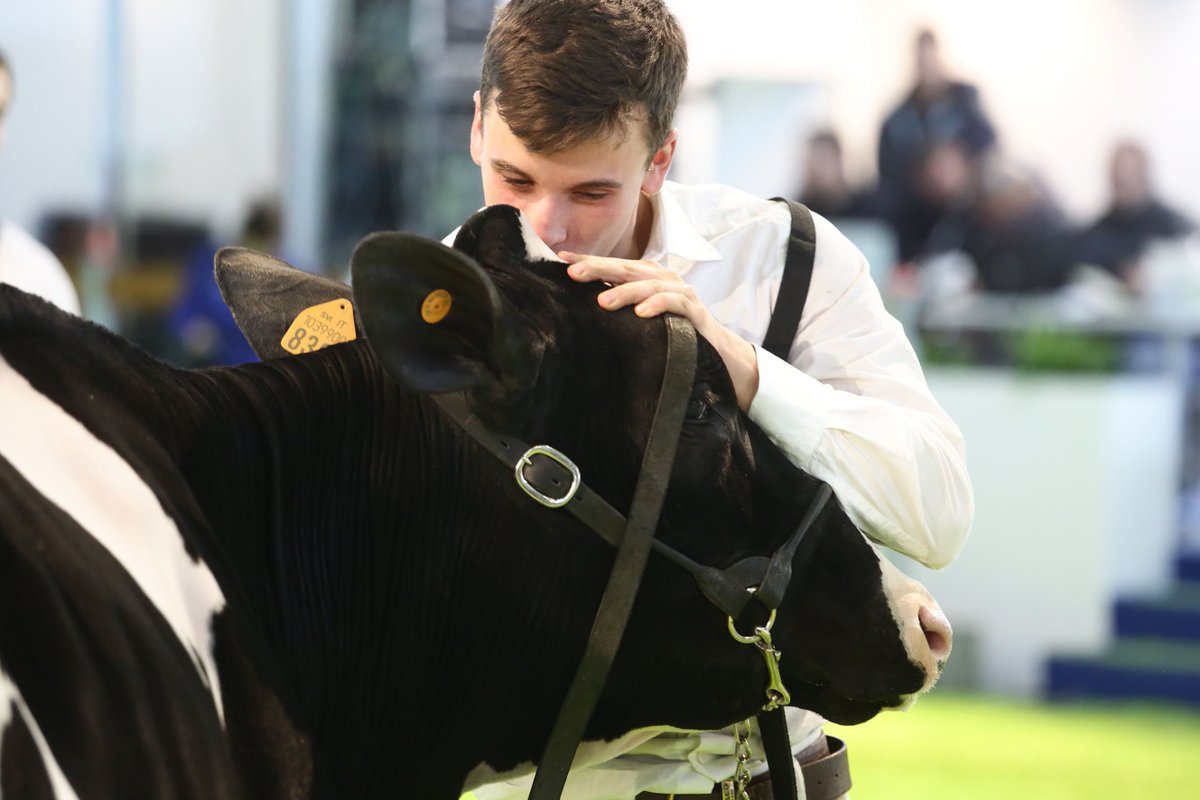 fieragricola's tweet image. In occasione di @fieragricola A.I.A. terrà un convegno per presentare la riorganizzazione delle principali attività che ruotano attorno alle esigenze degli #allevatori italiani. Appuntamento Sala Salieri alle ore 10.30 del 2 febbraio --&amp;gt; goo.gl/QVEqfT #Fieragricola2018