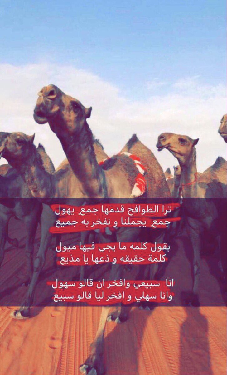 iiMohamd10's tweet photo. #الطوافح_نخبه_الشعل https://t.co/aVntTDf2j4