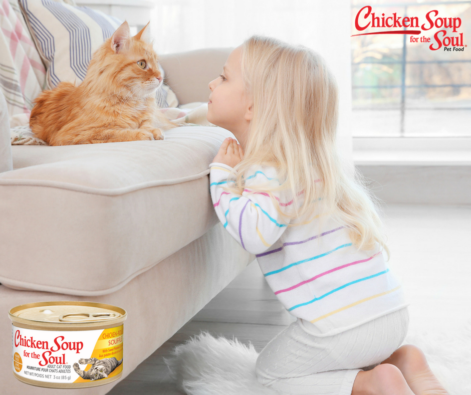 ChickenSoupPets's tweet photo. Fill your home with inspiration, love and joy. https://t.co/iOROj8VIVB https://t.co/MiKKVNP92U