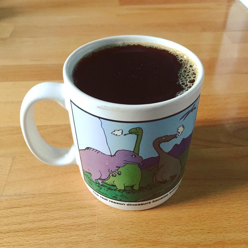 HI54LOFI's tweet photo. Clear eyes, full coffee, can't lose.
.
.
________⠀
#highfivefor… #coffee #quotenotquite https://t.co/yNKrv78J2n